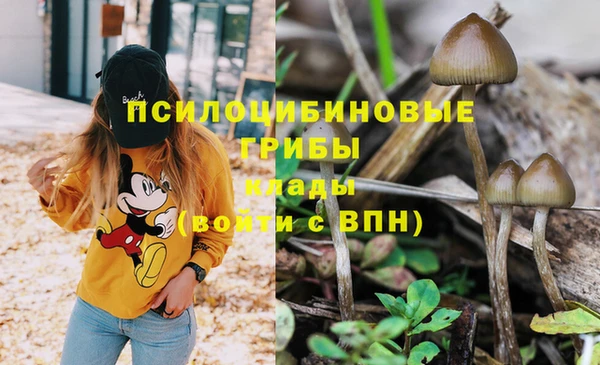 ГАЛЛЮЦИНОГЕННЫЕ ГРИБЫ Беломорск