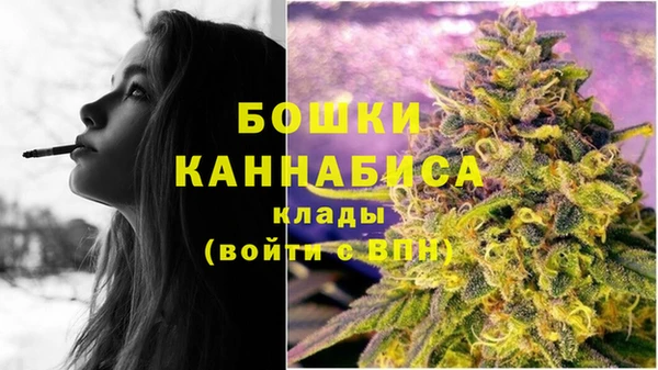 ГАЛЛЮЦИНОГЕННЫЕ ГРИБЫ Беломорск
