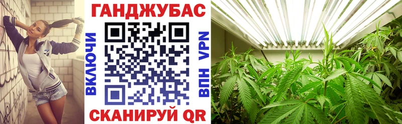 купить закладку  Волосово  гидра как войти  Конопля Bruce Banner 